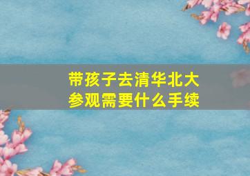 带孩子去清华北大参观需要什么手续