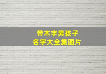 带木字男孩子名字大全集图片