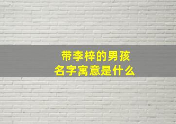 带李梓的男孩名字寓意是什么