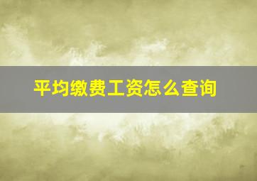 平均缴费工资怎么查询