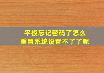 平板忘记密码了怎么重置系统设置不了了呢