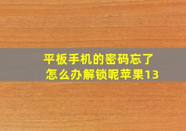 平板手机的密码忘了怎么办解锁呢苹果13