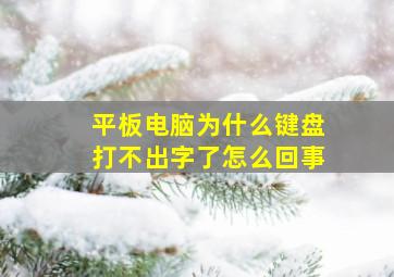 平板电脑为什么键盘打不出字了怎么回事