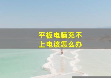 平板电脑充不上电该怎么办