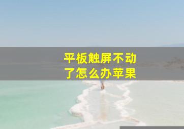 平板触屏不动了怎么办苹果