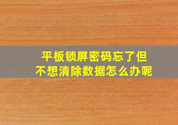 平板锁屏密码忘了但不想清除数据怎么办呢