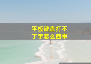 平板键盘打不了字怎么回事