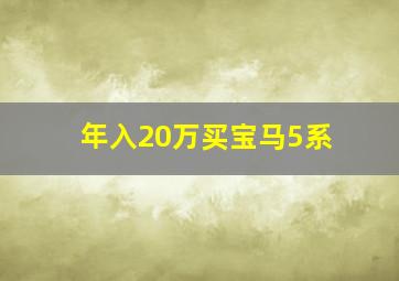 年入20万买宝马5系