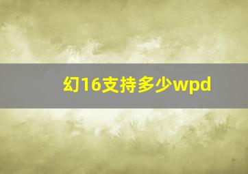 幻16支持多少wpd