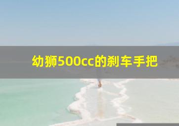 幼狮500cc的刹车手把