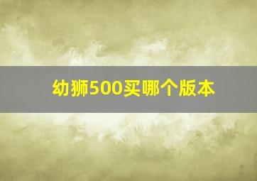 幼狮500买哪个版本