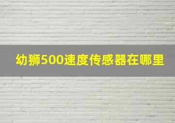 幼狮500速度传感器在哪里