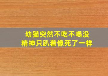 幼猫突然不吃不喝没精神只趴着像死了一样