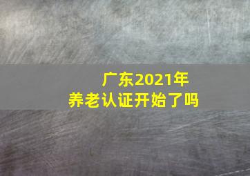 广东2021年养老认证开始了吗