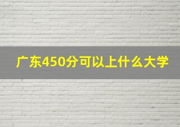 广东450分可以上什么大学