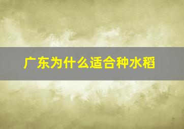 广东为什么适合种水稻