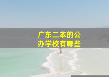 广东二本的公办学校有哪些