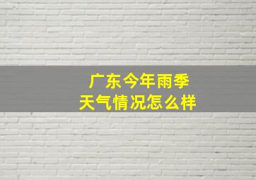 广东今年雨季天气情况怎么样