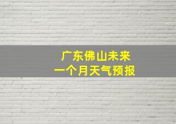 广东佛山未来一个月天气预报