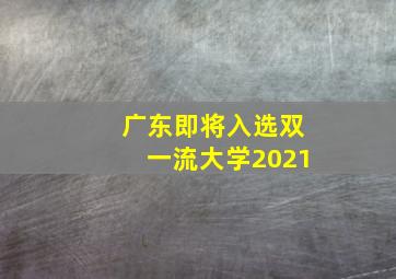 广东即将入选双一流大学2021