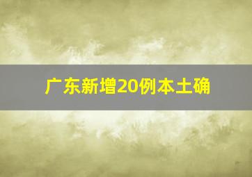 广东新增20例本土确