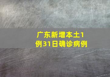 广东新增本土1例31日确诊病例