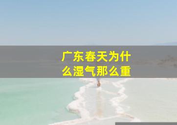 广东春天为什么湿气那么重