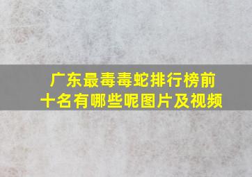 广东最毒毒蛇排行榜前十名有哪些呢图片及视频