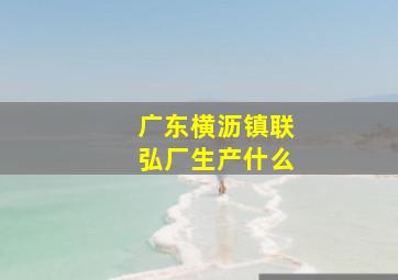 广东横沥镇联弘厂生产什么