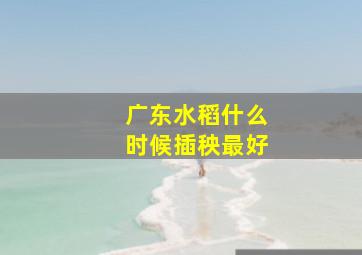 广东水稻什么时候插秧最好