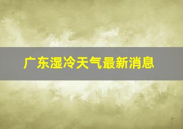 广东湿冷天气最新消息