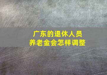 广东的退休人员养老金会怎样调整