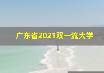 广东省2021双一流大学