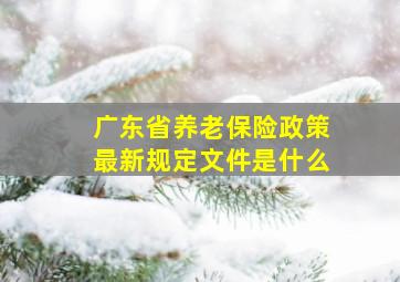 广东省养老保险政策最新规定文件是什么