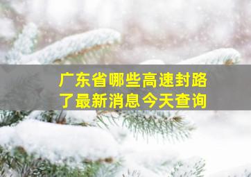 广东省哪些高速封路了最新消息今天查询