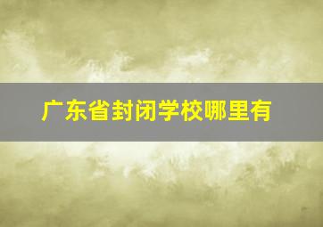 广东省封闭学校哪里有