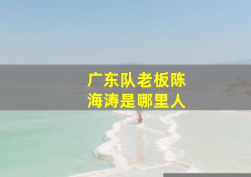 广东队老板陈海涛是哪里人