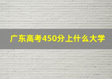 广东高考450分上什么大学