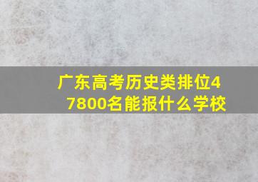 广东高考历史类排位47800名能报什么学校