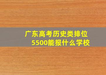 广东高考历史类排位5500能报什么学校