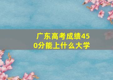 广东高考成绩450分能上什么大学