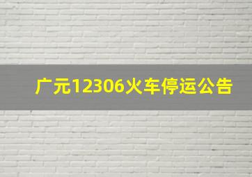 广元12306火车停运公告