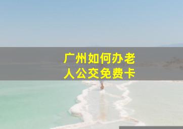 广州如何办老人公交免费卡