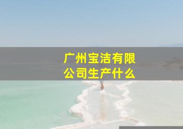 广州宝洁有限公司生产什么