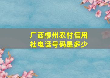 广西柳州农村信用社电话号码是多少