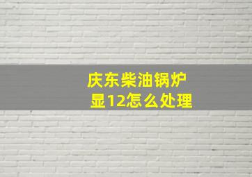 庆东柴油锅炉显12怎么处理