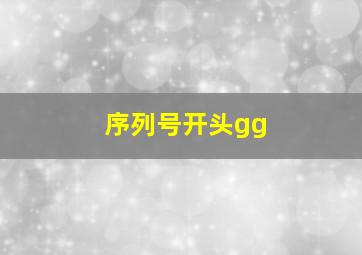 序列号开头gg