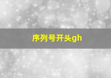 序列号开头gh