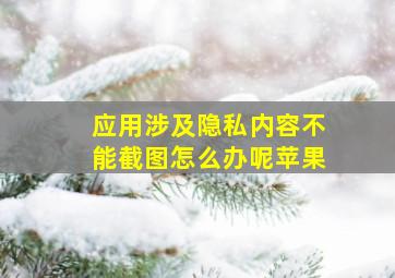 应用涉及隐私内容不能截图怎么办呢苹果