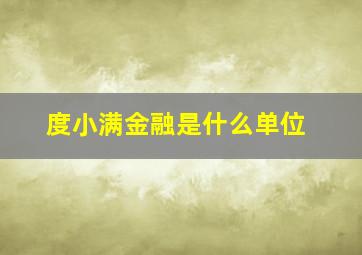 度小满金融是什么单位